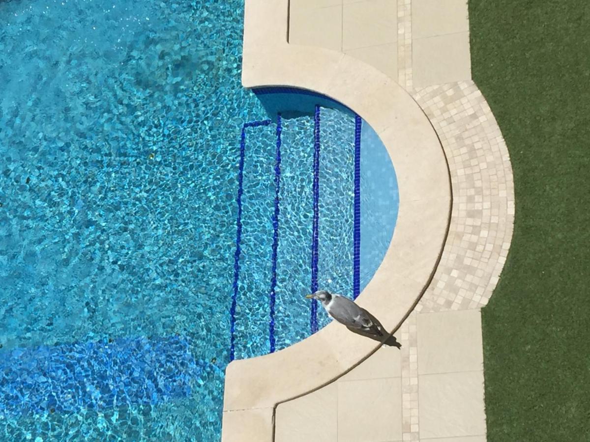 3 Min Walking To Peneco Beach Albufeira At Sol A Sul Apartments Екстер'єр фото